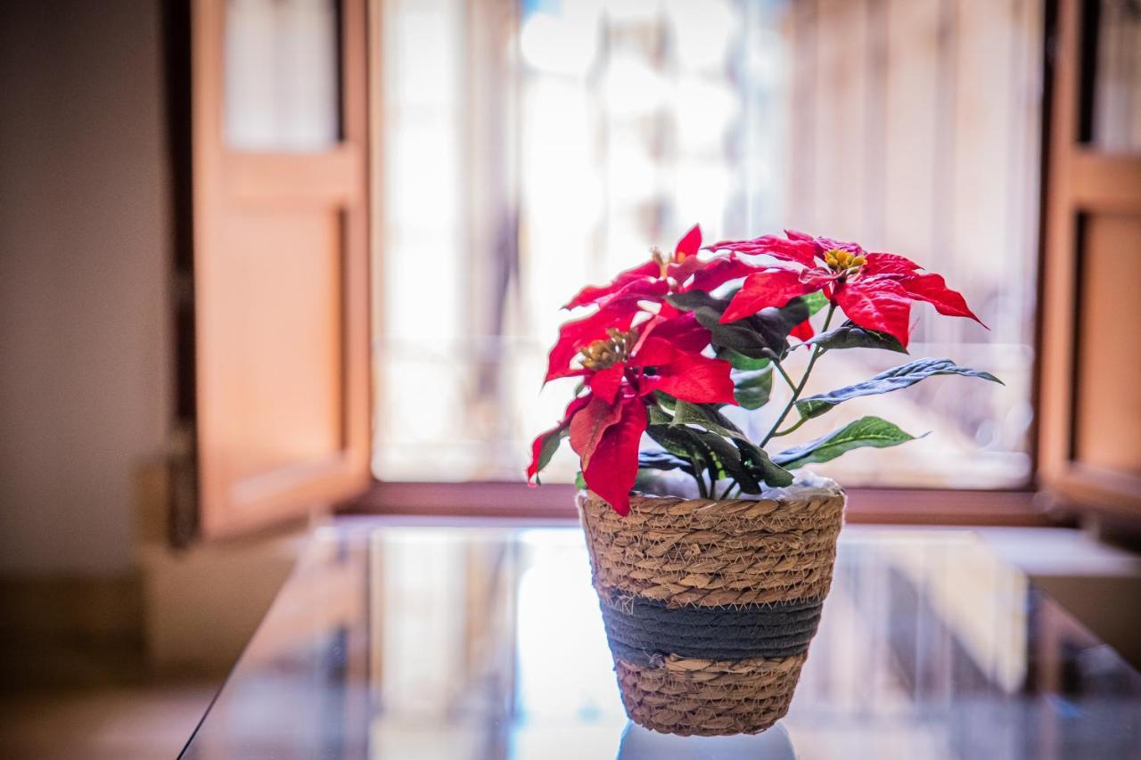 Cartagenaflats, Apartamentos Calle Mayor, City Center Ngoại thất bức ảnh
